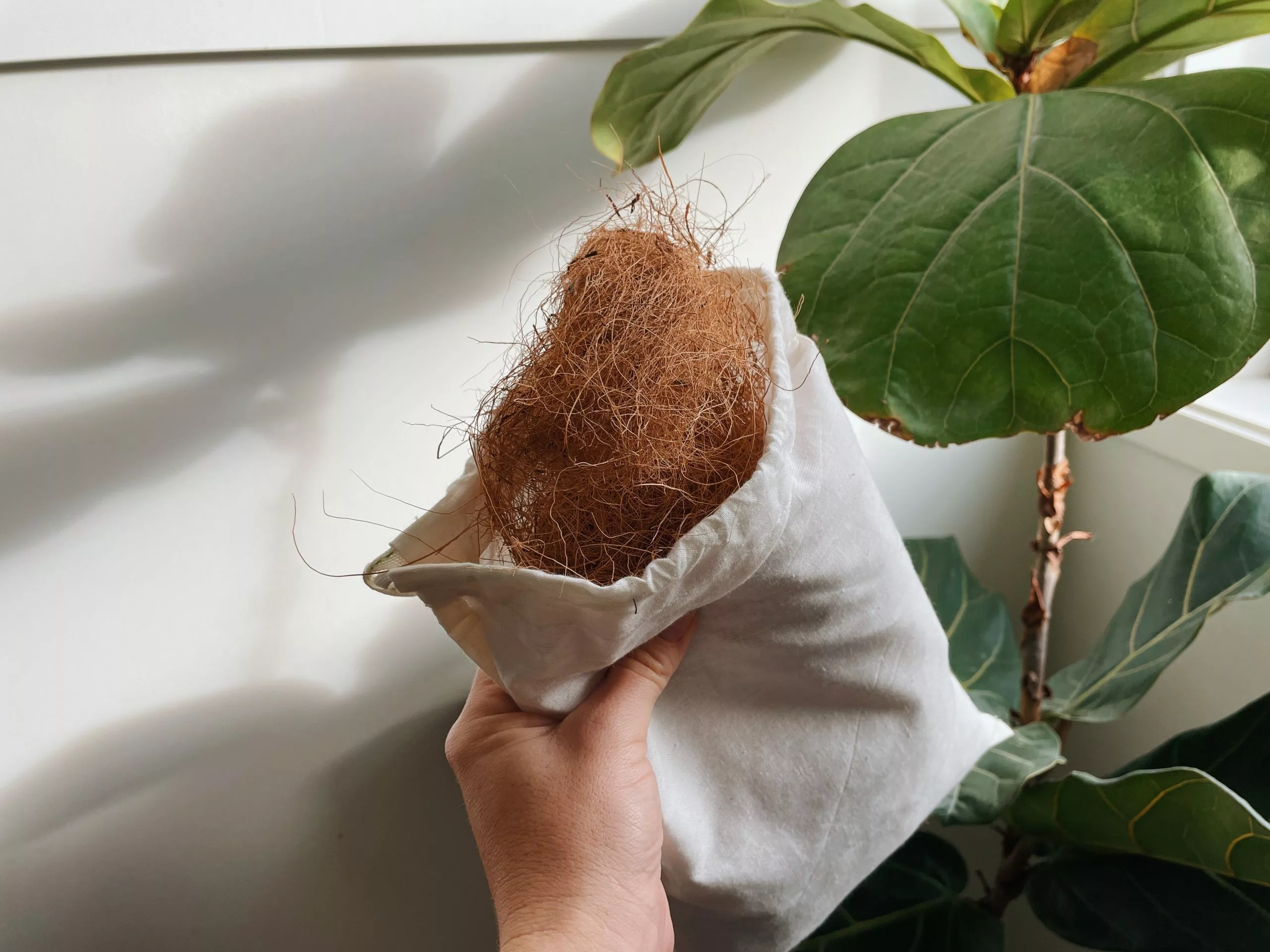 Coconut Coir (loose Bag) 6 Coconut Coir (loose Bag) - Image 4