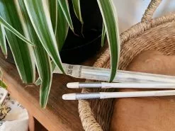 2 Sustees + 2 Refills Bundle Pack 15 2 Sustees + 2 Refills Bundle Pack -Plants in a Box Sales Shop 42747F14 D523 4369 A2DA BA238B36EF02 7B6DBFE1 EE90 47F2 BF68 BF3453A6425F2