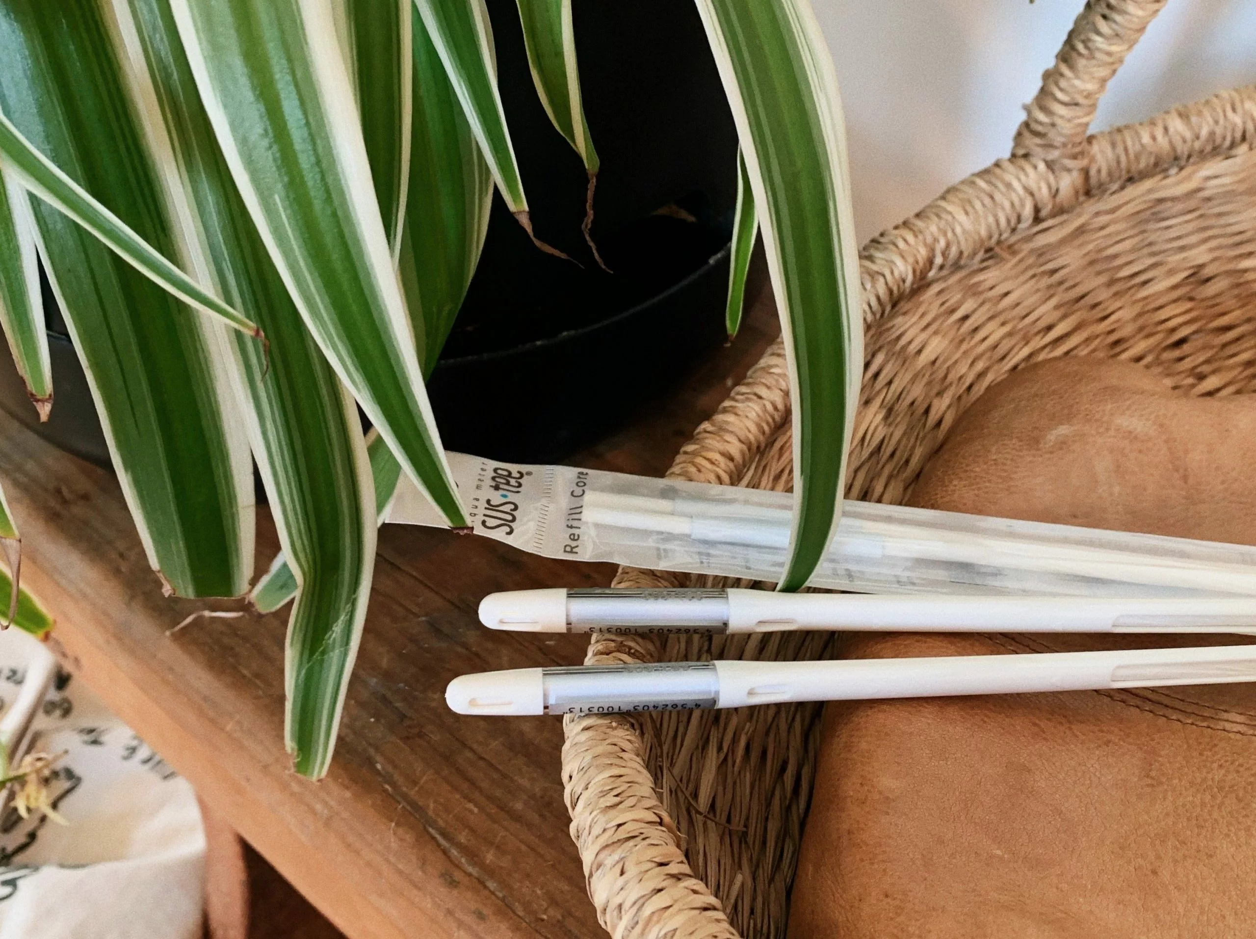 2 Sustees + 2 Refills Bundle Pack 7 2 Sustees + 2 Refills Bundle Pack - Image 5