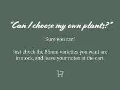 3 Plants & 3 Self-Watering Pot 250mm Set - Medium -Plants in a Box Sales Shop 85CartInstructions grande 53e90e7c 01bb 4bfa a4f9 7520fec63baf