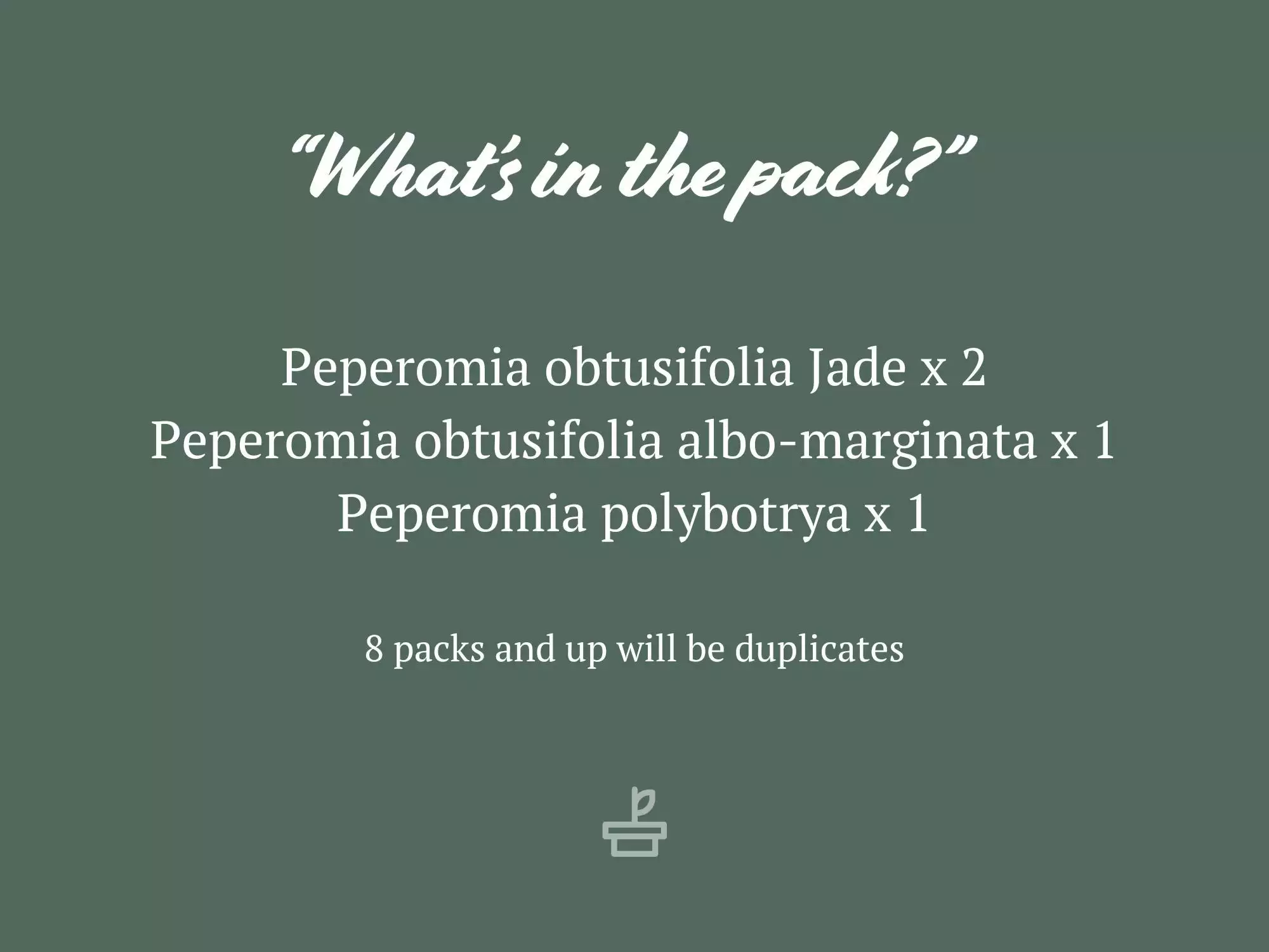 All About Peperomia Pack 10 All About Peperomia Pack - Image 8