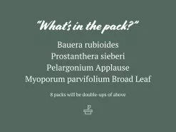 Australian Native Flowering Box -Plants in a Box Sales Shop AssortedHoyaPack 1