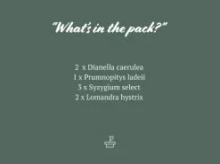 Australian Native Rainforest Mixed Pack 13 Australian Native Rainforest Mixed Pack -Plants in a Box Sales Shop AssortedPacks 20