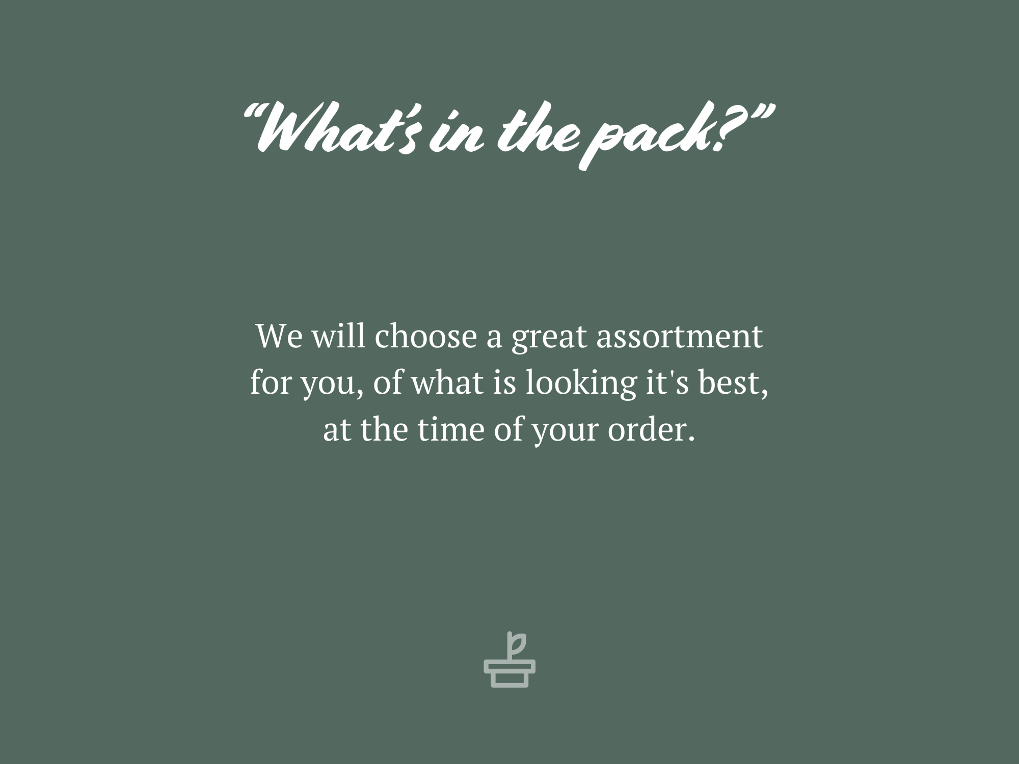 Mixed Fern Box - Large 9 Mixed Fern Box - Large - Image 7