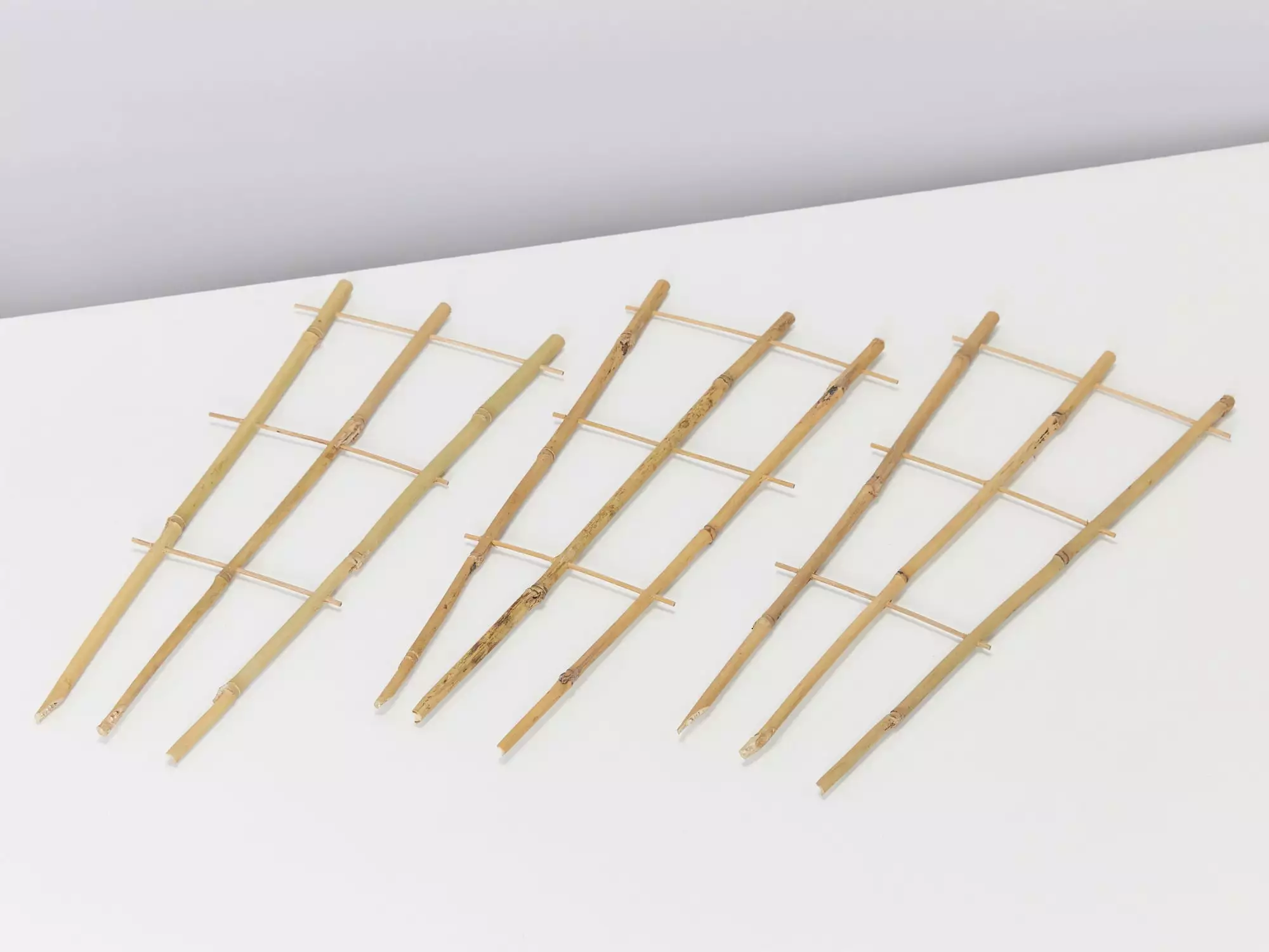 Bamboo Plant Trainer 4 Bamboo Plant Trainer - Image 2