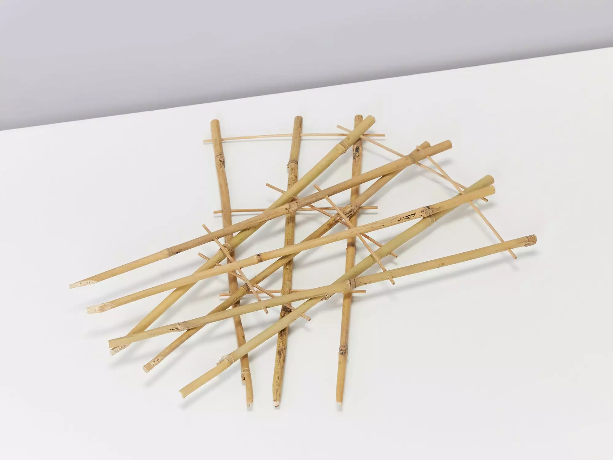 Bamboo Plant Trainer 7 Bamboo Plant Trainer - Image 5