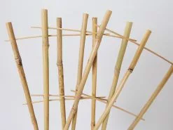 Bamboo Plant Trainer 10 Bamboo Plant Trainer -Plants in a Box Sales Shop BambooLadders detail