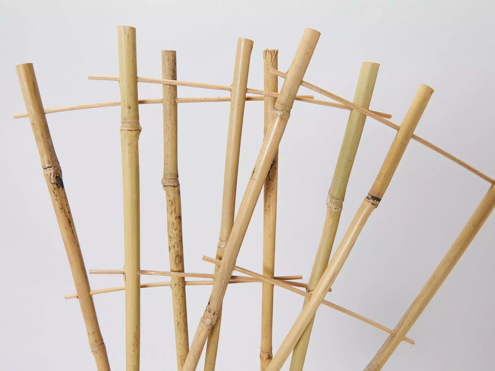 Bamboo Plant Trainer 6 Bamboo Plant Trainer - Image 4