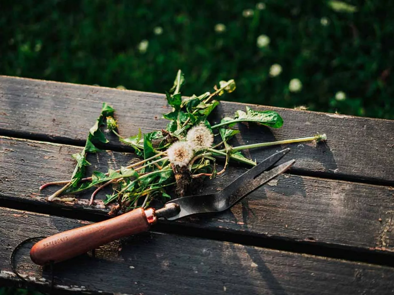 Barebones Weeding Fork 7 Barebones Weeding Fork - Image 5