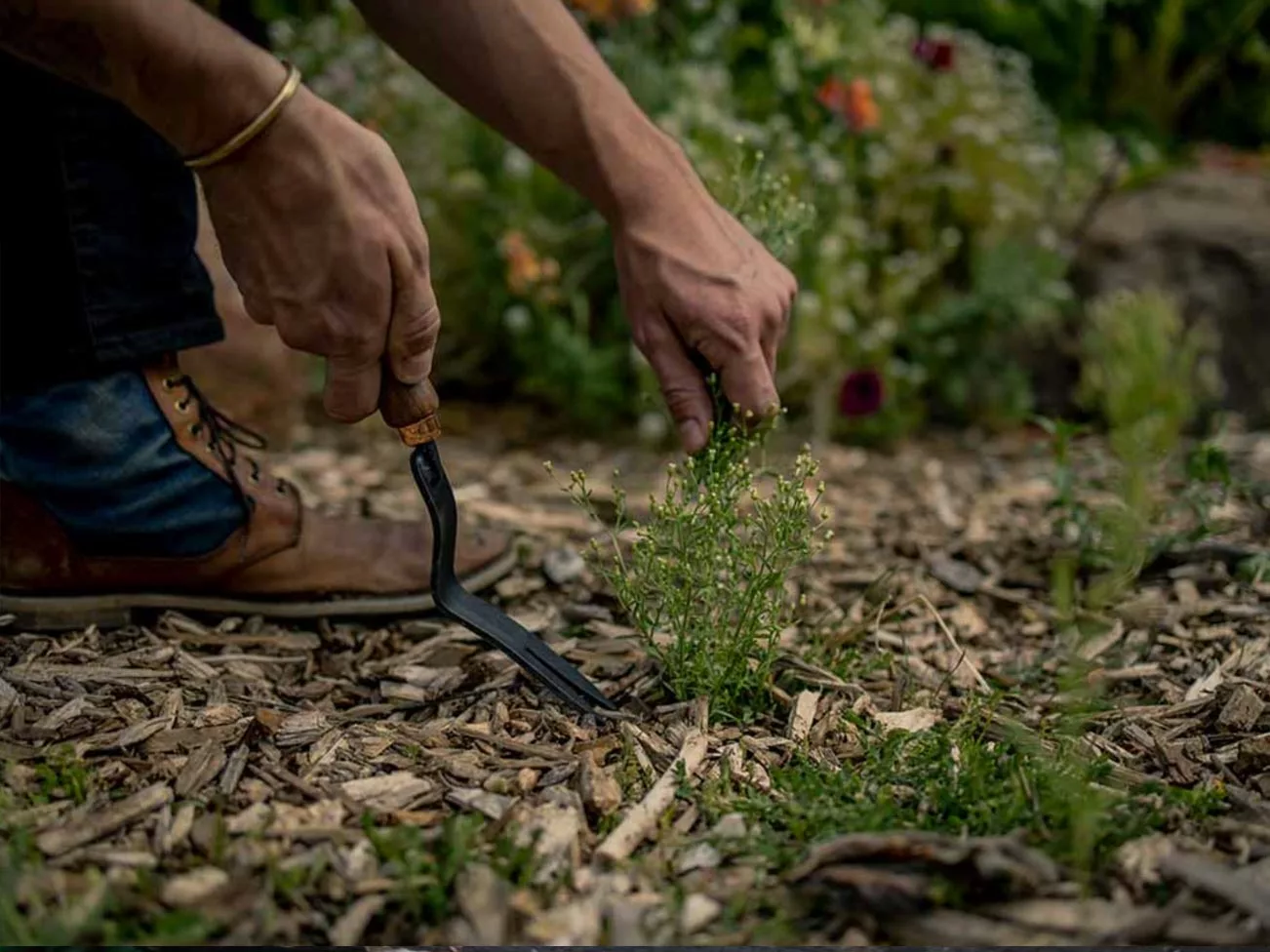 Barebones Weeding Fork 4 Barebones Weeding Fork - Image 2