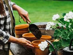 Barebones Soil Scoop -Plants in a Box Sales Shop Barebones Scoop 03