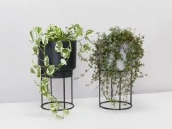Elho Eco Friendly â™»ï¸ - Pot & Stand 16 Elho Eco Friendly â™»ï¸ - Pot & Stand -Plants in a Box Sales Shop BlackGreyPotWithStand