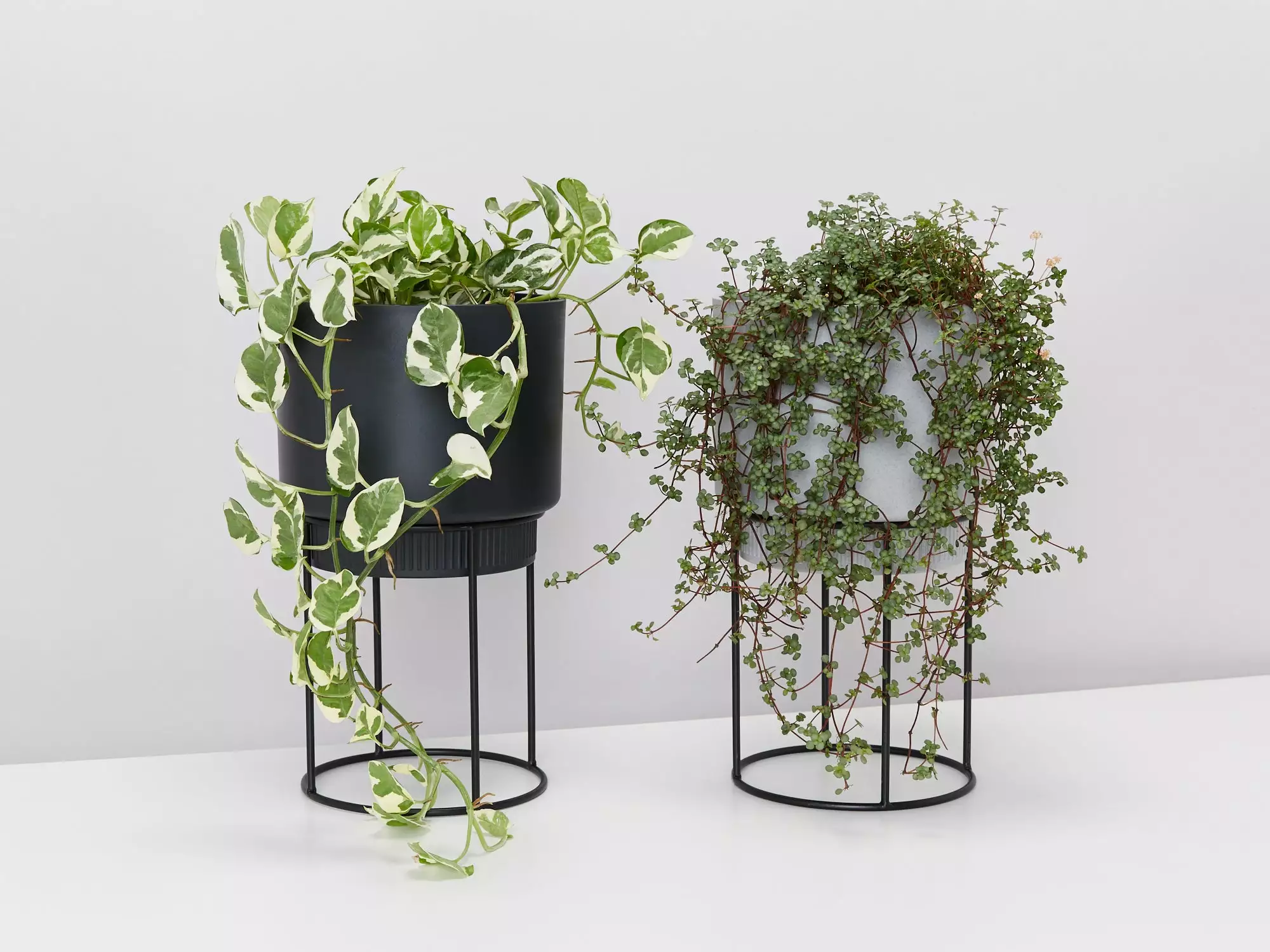 Elho Eco Friendly â™»ï¸ - Pot & Stand 6 Elho Eco Friendly â™»ï¸ - Pot & Stand - Image 4