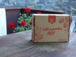 Bougainvillea Evita - 85mm -Plants in a Box Sales Shop Box Shot ae9fa241 ab28 4bb5 bdd8 53f68189b48f