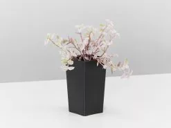 Callisia Repens Pink Panther -Plants in a Box Sales Shop CallisiaRepensPinkPanther single 18df3ccf 9675 4cc0 9c37 2ca710c89d09