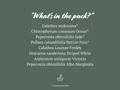 Child Friendly Non-Toxic Houseplant Box -Plants in a Box Sales Shop ChildFriendly