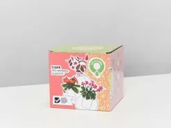 Clear Glass Self-Watering Planter - Ideal For Leca -Plants in a Box Sales Shop ClearSelfWateringGlassPot detail