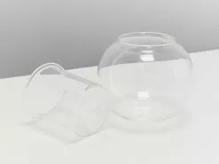 Clear Glass Self-Watering Planter - Ideal For Leca