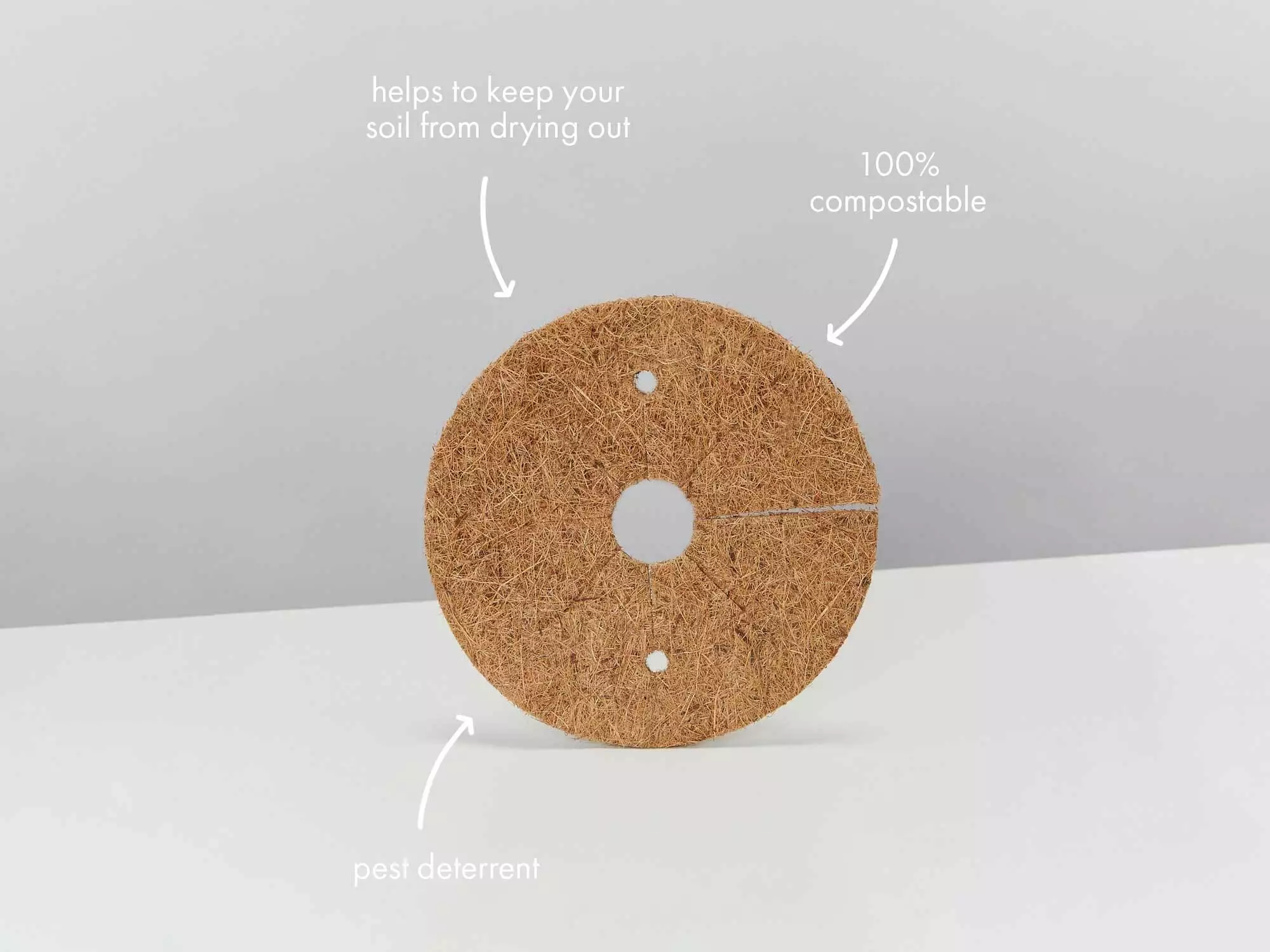 Houseplant Beginners Gift Box 🎠- Sustee Included 23 Houseplant Beginners Gift Box 🎠- Sustee Included - Image 21