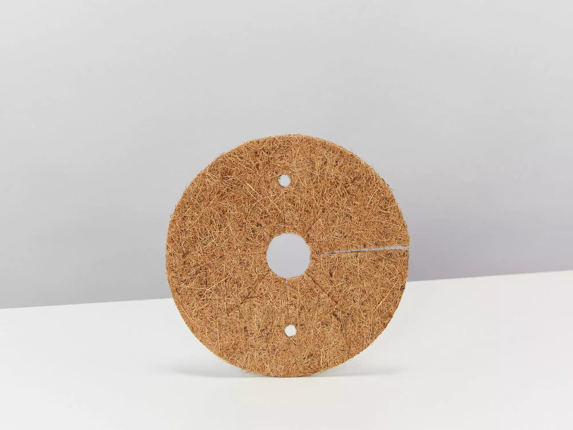 Peperomia Diamond - Pot + Plant + Soil 14 Peperomia Diamond - Pot + Plant + Soil - Image 12