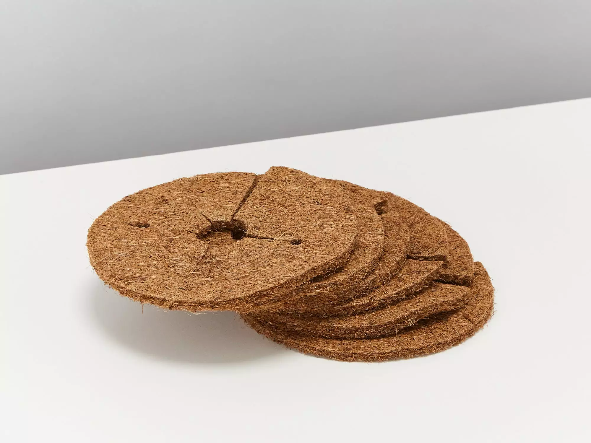 4 Plants & 4 Self-Watering Pot Set - With Soil Mix 8 4 Plants & 4 Self-Watering Pot Set - With Soil Mix - Image 6