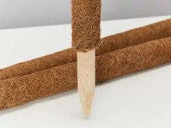 Coco Totem Poles -Plants in a Box Sales Shop CoirPolesSmall 3 detail 2