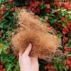 Coconut Coir (loose Bag) 2 Coconut Coir (loose Bag) -Plants in a Box Sales Shop Coirfibretop dressing01 0cd95fcf 573f 435f afa0 688aebe32e01