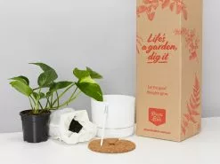 Houseplant Beginners Gift Box 🎠- Sustee Included 35 Houseplant Beginners Gift Box 🎠- Sustee Included -Plants in a Box Sales Shop DIYGiftBoxForBeginners