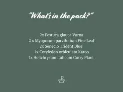 Drought Tolerant Plant Pack -Plants in a Box Sales Shop DroughtTolerantPlantPack 4