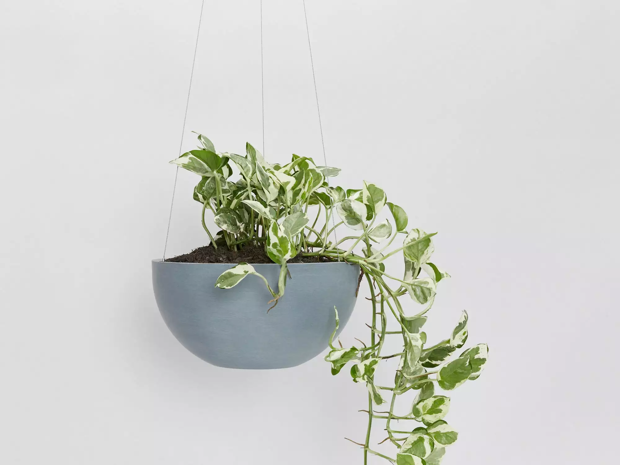 Ecopots Eco-Friendly Hanging Planters 6 Ecopots Eco-Friendly Hanging Planters - Image 4