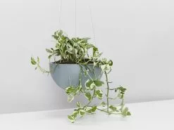 Ecopots Eco-Friendly Hanging Planters