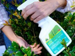 Eco Organic Fungicide -Plants in a Box Sales Shop EcoFungicide02