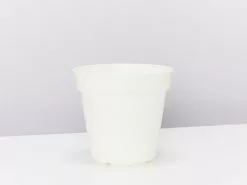 Elho Eco-Friendly Grow Pots - Inserts For Pots 13 Elho Eco-Friendly Grow Pots - Inserts For Pots -Plants in a Box Sales Shop ElhoCottonWhitePot 15