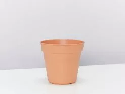 Elho Eco-Friendly Grow Pots - Inserts For Pots 14 Elho Eco-Friendly Grow Pots - Inserts For Pots -Plants in a Box Sales Shop ElhoMildTerraPot 13