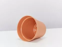 Elho Eco-Friendly Grow Pots - Inserts For Pots 15 Elho Eco-Friendly Grow Pots - Inserts For Pots -Plants in a Box Sales Shop ElhoMildTerraPot 13 DETAIL side