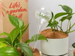 Elho Aqua Care â™»ï¸- Watering System Transparent -Plants in a Box Sales Shop Elho Aquacare01