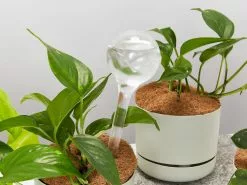 Elho Aqua Care â™»ï¸- Watering System Transparent -Plants in a Box Sales Shop Elho Aquacare02