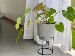 Elho Eco Friendly â™»ï¸ - Pot & Stand 20 Elho Eco Friendly â™»ï¸ - Pot & Stand -Plants in a Box Sales Shop Elho PlantStand Grey01