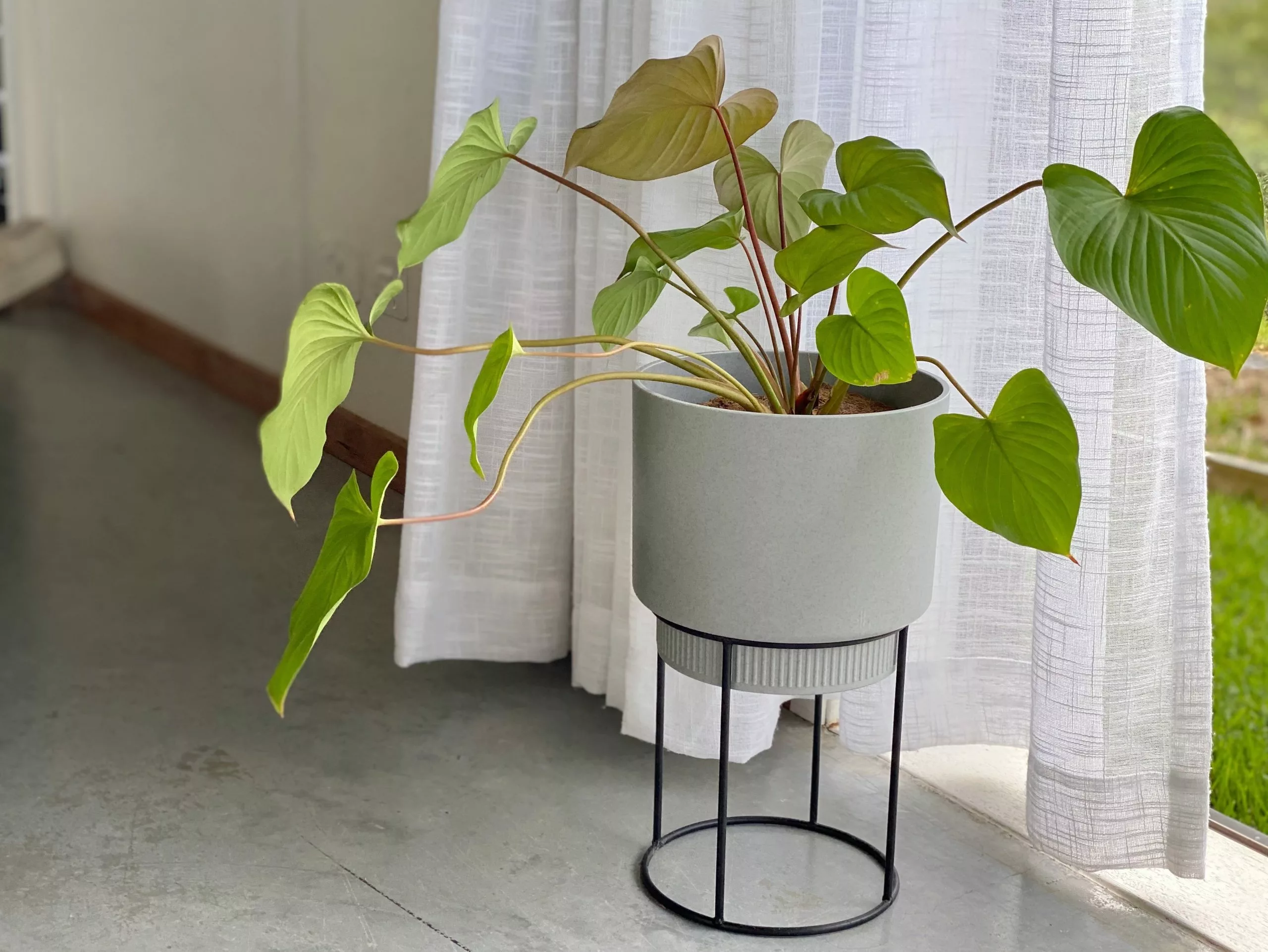 Elho Eco Friendly â™»ï¸ - Pot & Stand 10 Elho Eco Friendly â™»ï¸ - Pot & Stand - Image 8