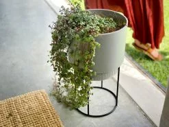 Elho Eco Friendly â™»ï¸ - Pot & Stand 22 Elho Eco Friendly â™»ï¸ - Pot & Stand -Plants in a Box Sales Shop Elho PlantStand Grey03