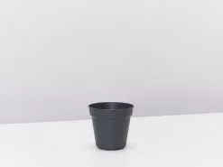 Elho Eco-Friendly Grow Pots Green Basics - Propagation Pack -Plants in a Box Sales Shop ElhoblackPot 7.5