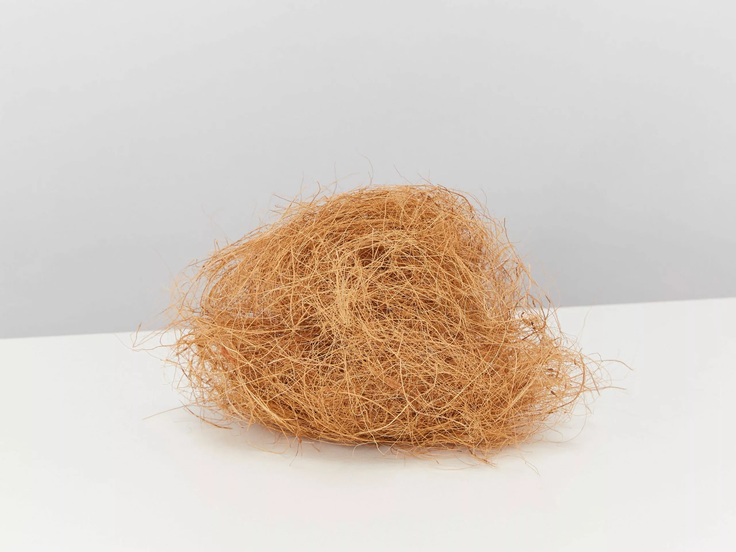 Coconut Coir (loose Bag) 7 Coconut Coir (loose Bag) - Image 5