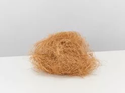 Potted Anthurium - In Sage Vessel -Plants in a Box Sales Shop HandfullLooseCore 1 9cfea250 38a2 4a75 bcc8 59048867c44a