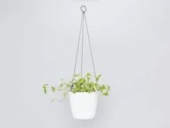 Elho Eco-Friendly Self-Watering Hanging Basket -Plants in a Box Sales Shop HangingPot single white 32063e02 7648 4268 9038 4b8287f6c5a2