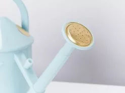 Heritage â™»ï¸Watering Can - Blue Or Green -Plants in a Box Sales Shop HawsBluePlasticWateringCan Detail