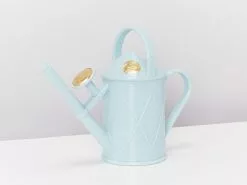 Heritage â™»ï¸Watering Can - Blue Or Green -Plants in a Box Sales Shop HawsBluePlasticWateringCan Front