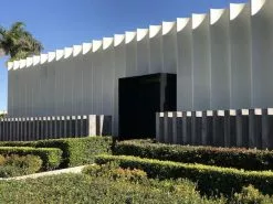 Syzygium Resilience Lilly Pilly Hedging Pack - Best Seller -Plants in a Box Sales Shop IMG 0035 2 ba9af995 850f 4022 99a4 b336774cb249