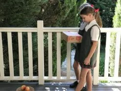 Back-To-School Classroom Box - Indoor Plants -Plants in a Box Sales Shop IMG 5615