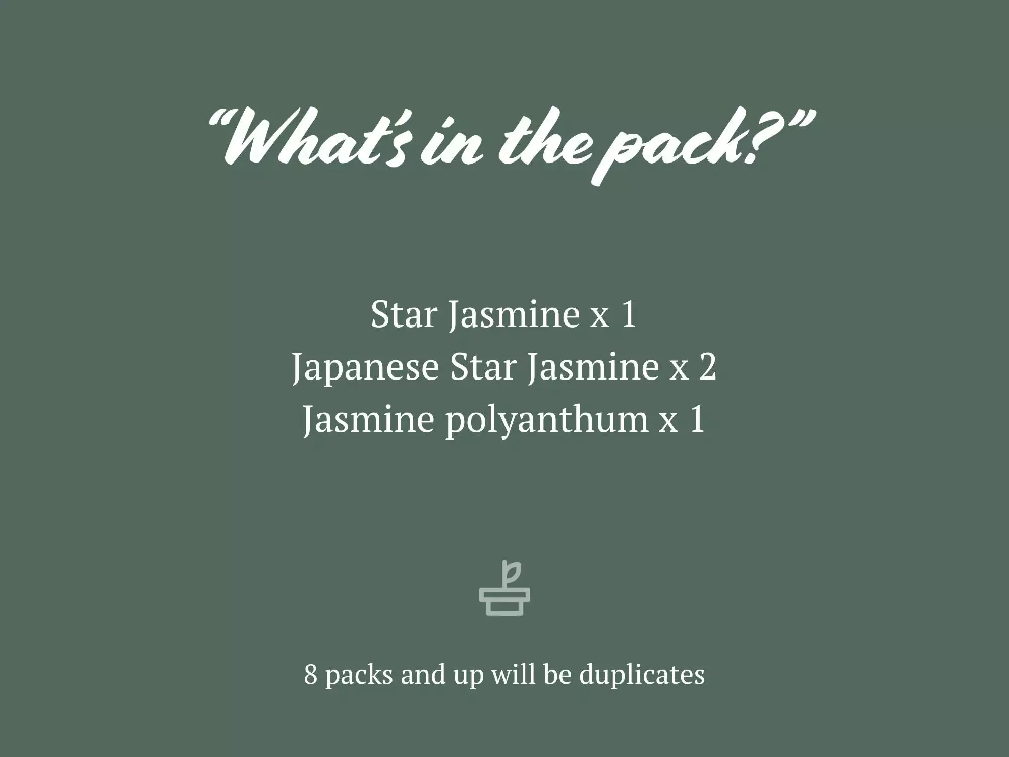 Mixed Jasmine Pack 6 Mixed Jasmine Pack - Image 4