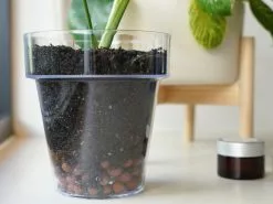 LECA - Canna Aqua Clay Balls 1L Bags -Plants in a Box Sales Shop LECA 01